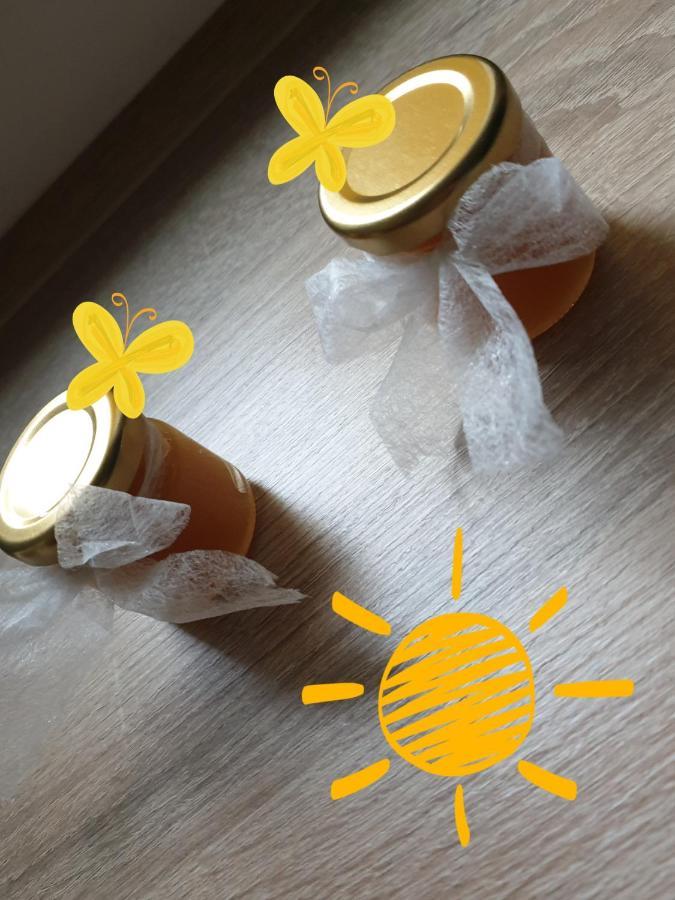 Sweet Honey Mieszkanie W Plocku Apartment Exterior photo